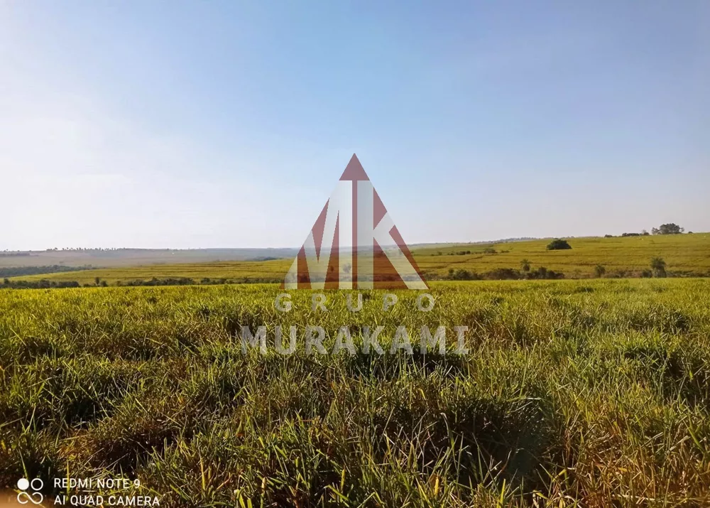 Fazenda, 250 m² - Foto 1