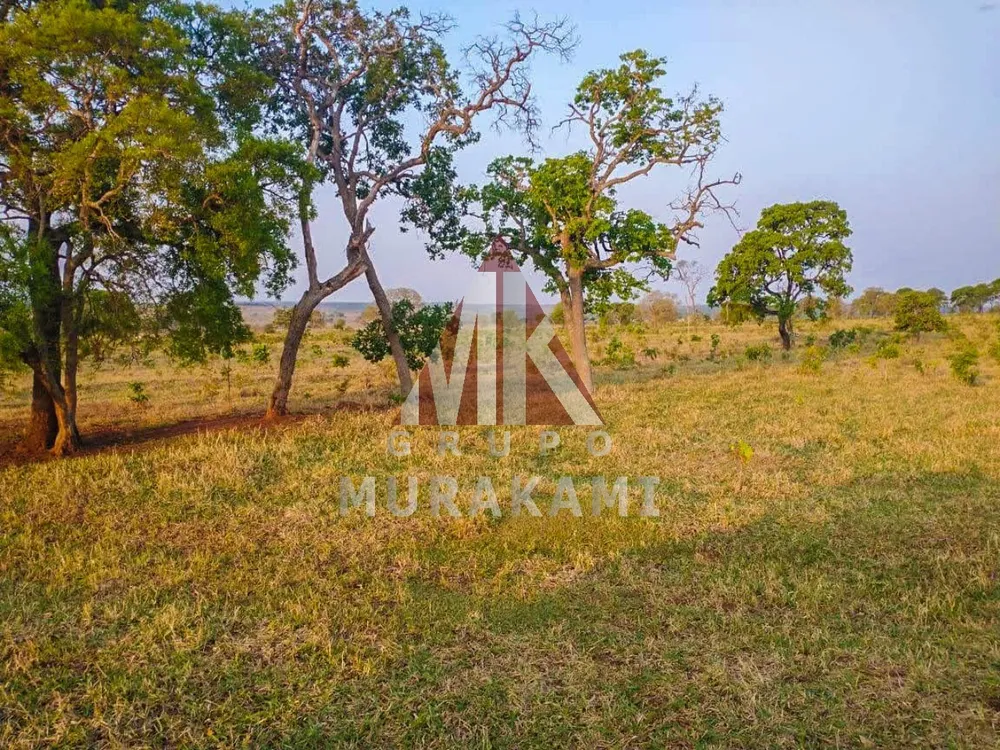 Fazenda, 641 m² - Foto 2