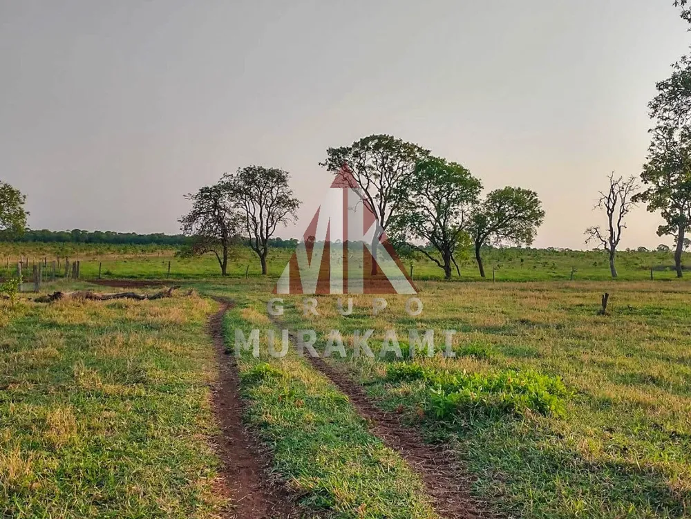 Fazenda, 641 m² - Foto 7