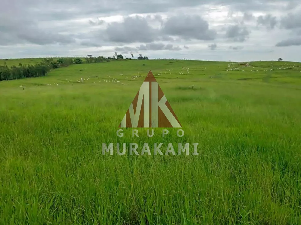 Fazenda, 194 m² - Foto 1