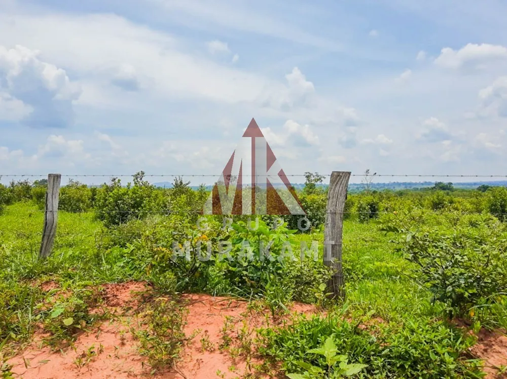 Fazenda, 606 m² - Foto 7