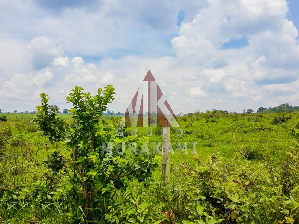 Fazenda, 606 m² - Foto 4