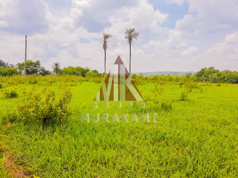 Fazenda, 606 m² - Foto 2