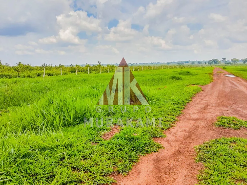 Fazenda, 606 m² - Foto 3