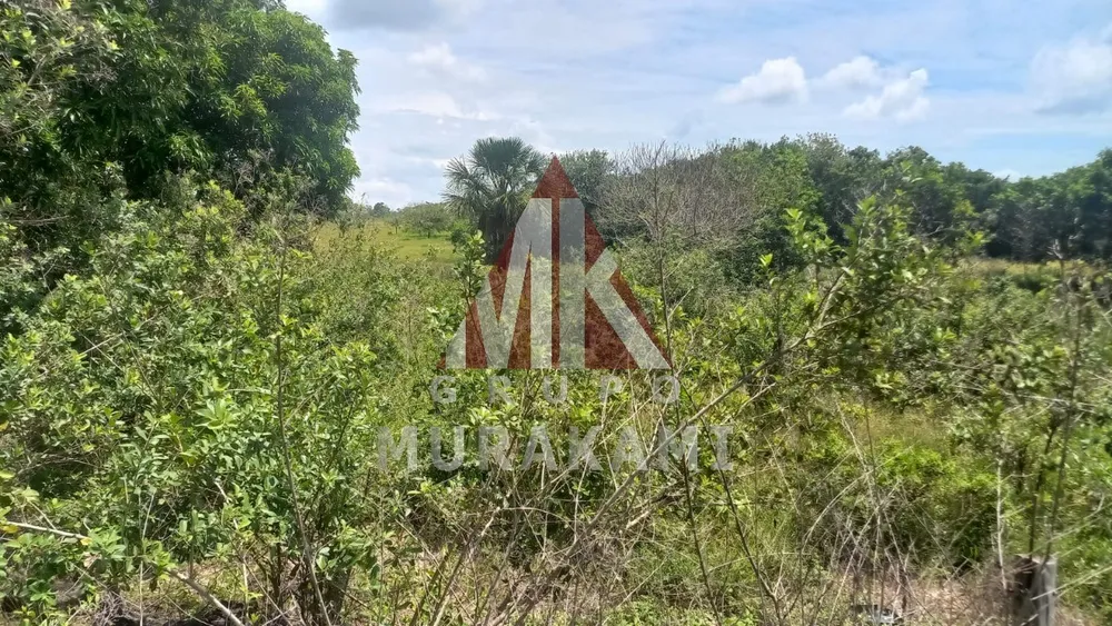 Fazenda, 880 m² - Foto 7