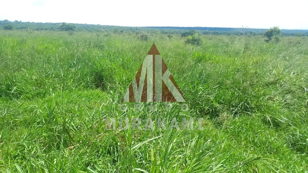 Fazenda, 880 m² - Foto 11