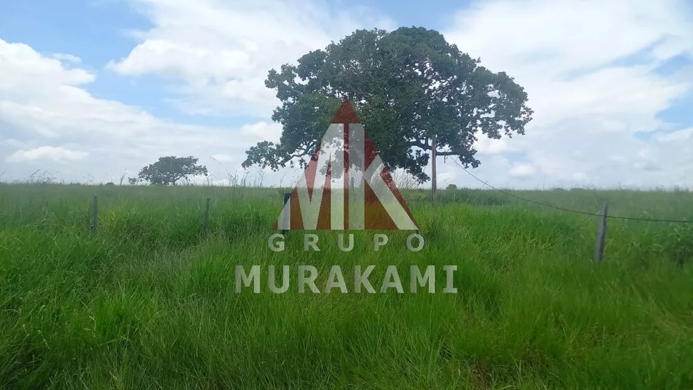 Fazenda, 880 m² - Foto 4