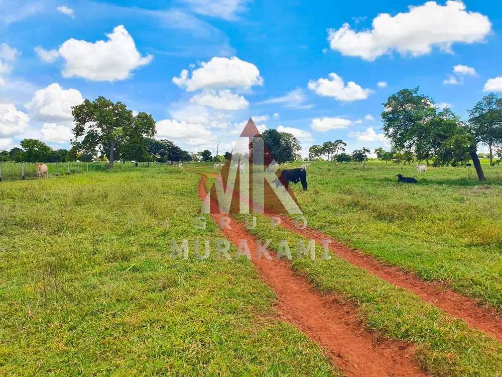 Fazenda, 2531 m² - Foto 3