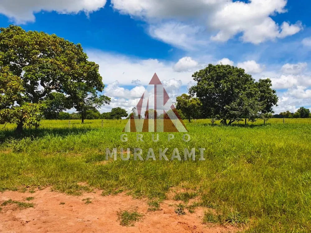 Fazenda, 2531 m² - Foto 2