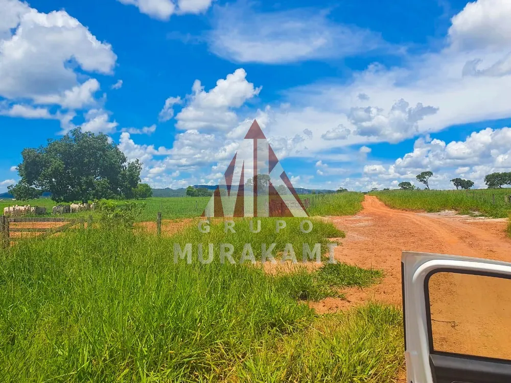 Fazenda, 2531 m² - Foto 5