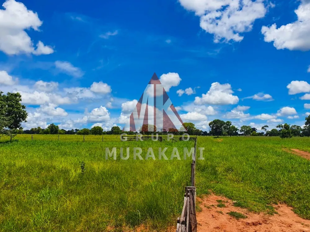 Fazenda, 2531 m² - Foto 1