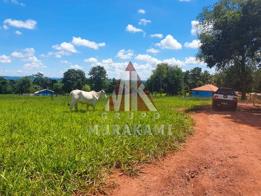 Fazenda, 2531 m² - Foto 4