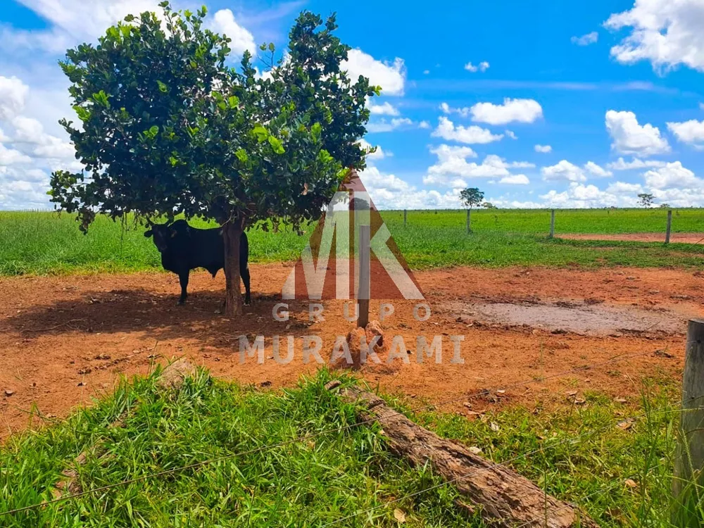Fazenda, 2531 m² - Foto 2