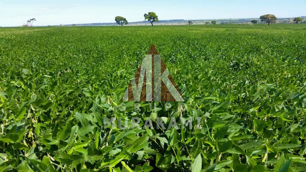 Fazenda, 564 m² - Foto 1