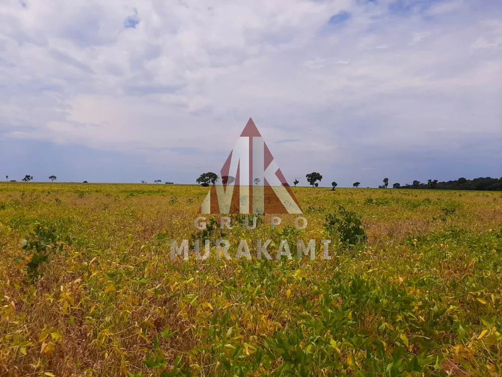 Fazenda, 564 m² - Foto 3