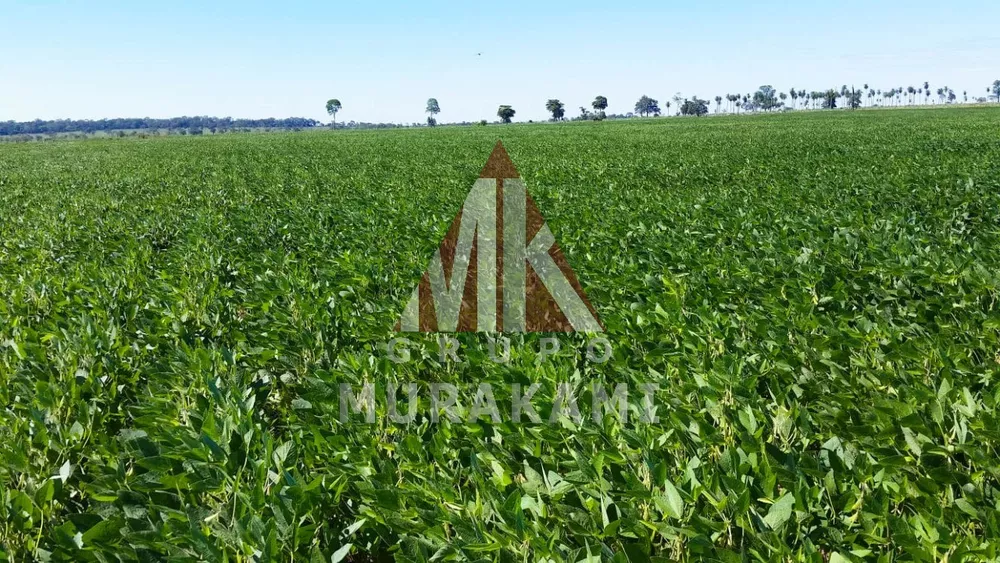 Fazenda, 564 m² - Foto 4