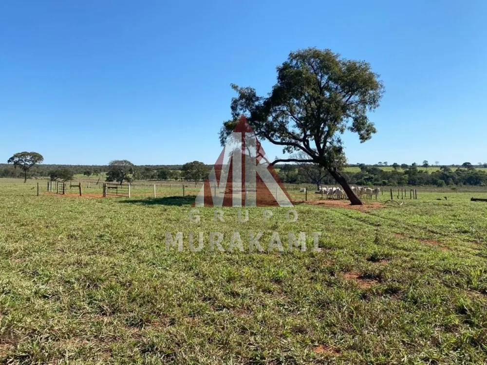 Fazenda, 3810 m² - Foto 12