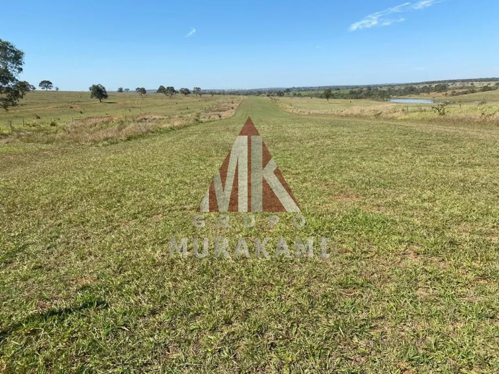 Fazenda, 3810 m² - Foto 6