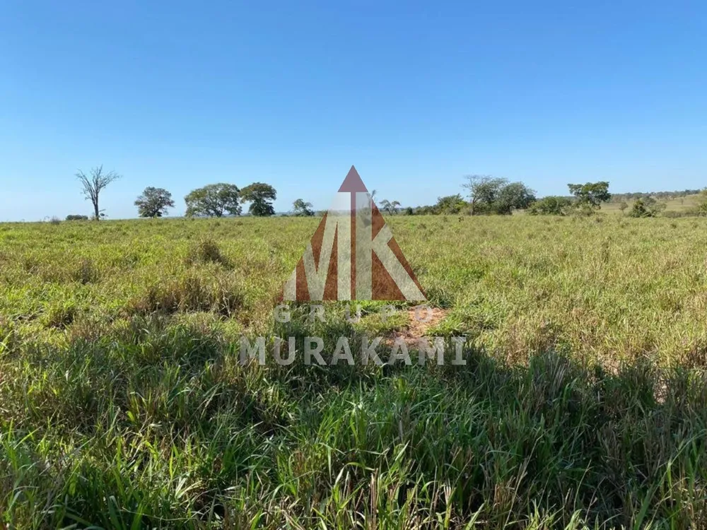 Fazenda, 3810 m² - Foto 8