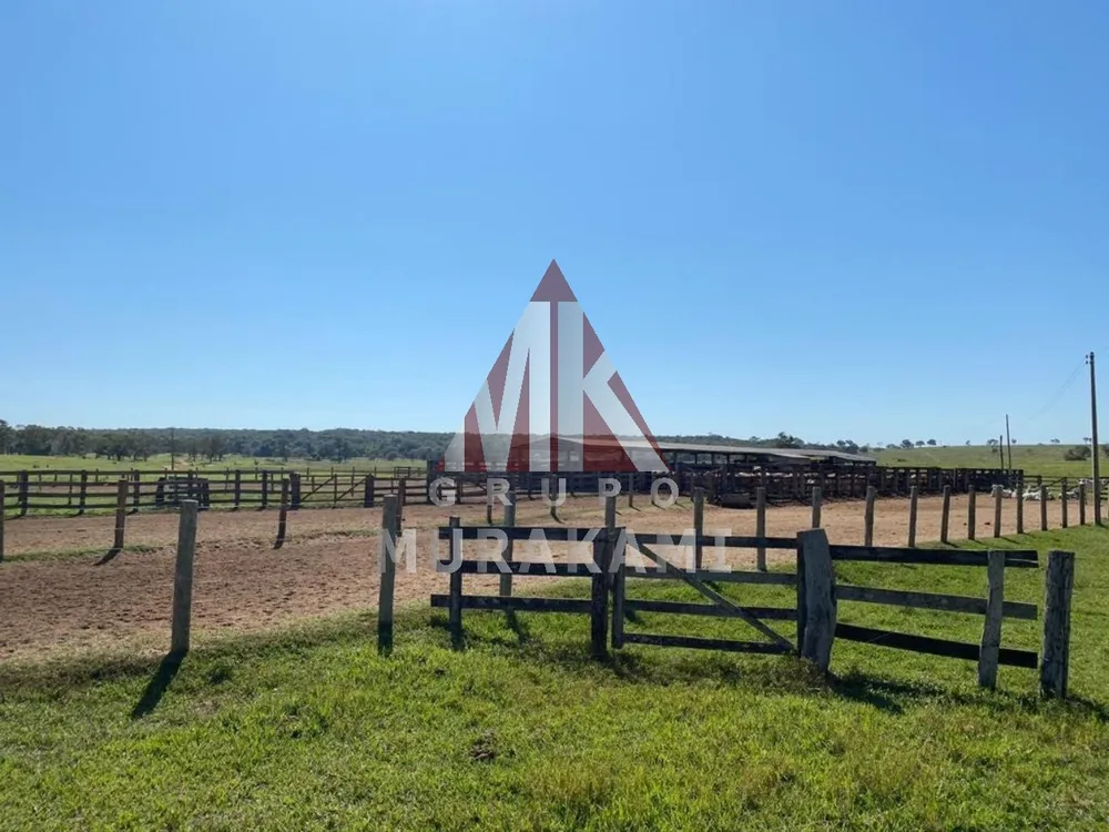 Fazenda, 3810 m² - Foto 5