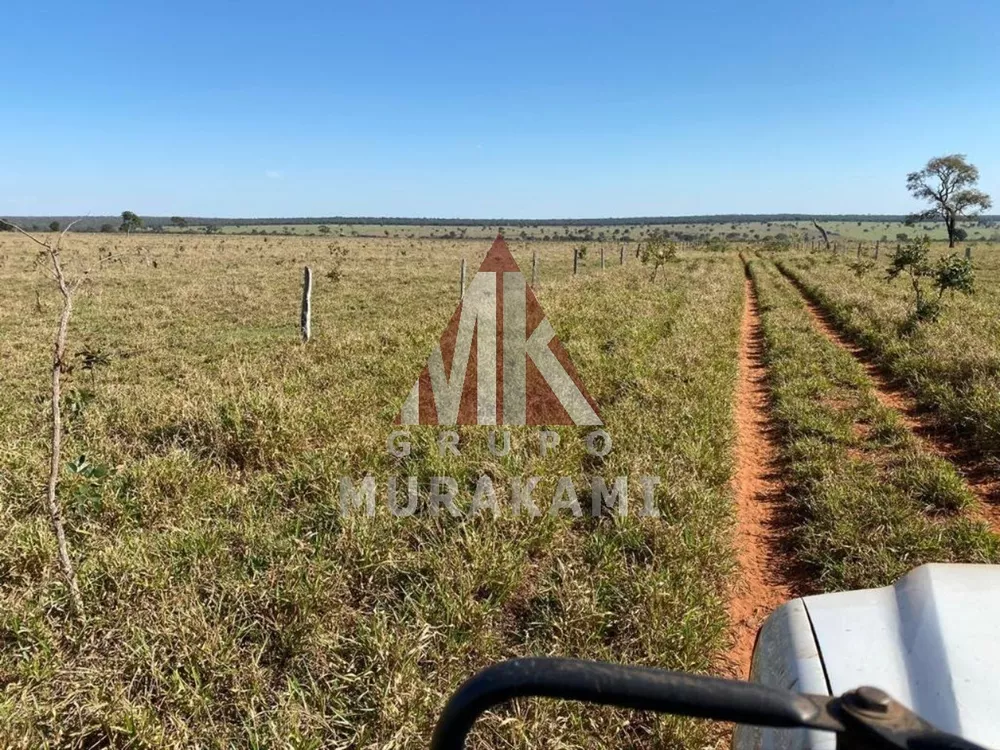Fazenda, 3810 m² - Foto 4