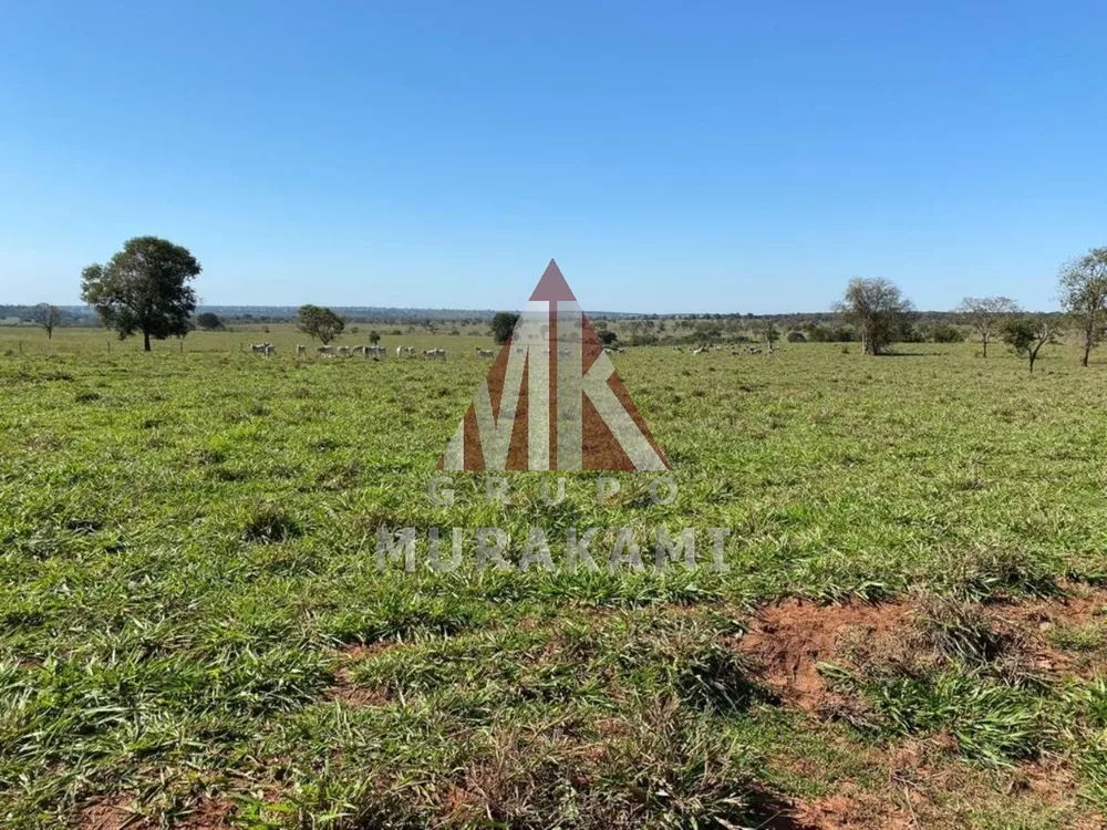 Fazenda, 3810 m² - Foto 2