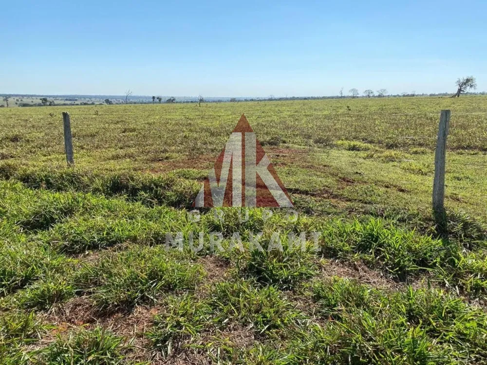 Fazenda, 3810 m² - Foto 11