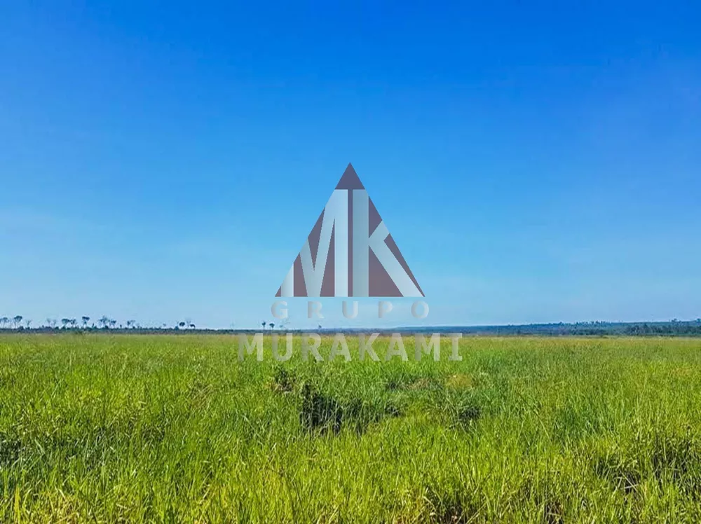 Fazenda, 8800 m² - Foto 1