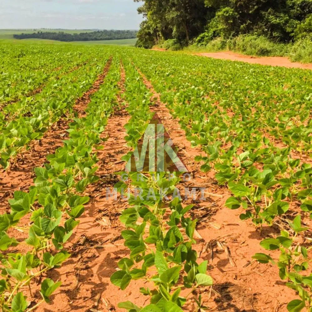 Fazenda, 424 m² - Foto 5