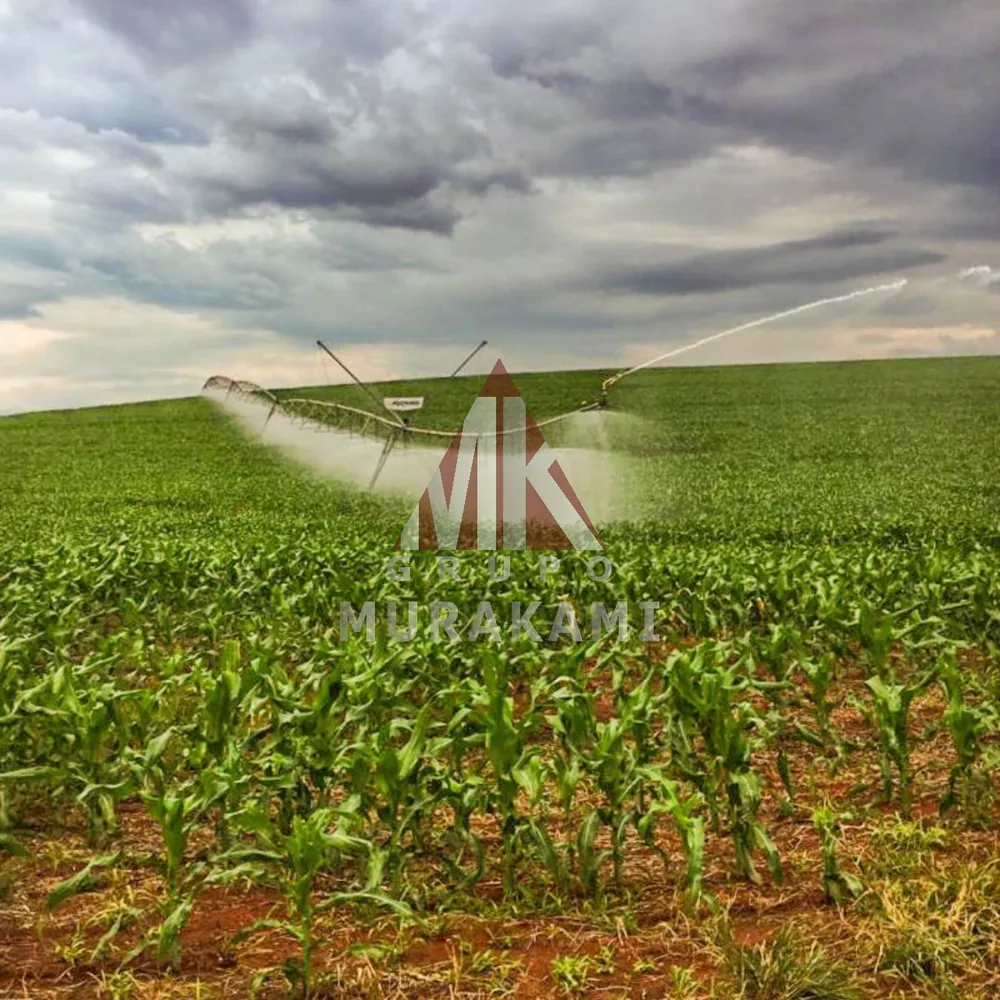 Fazenda, 424 m² - Foto 7