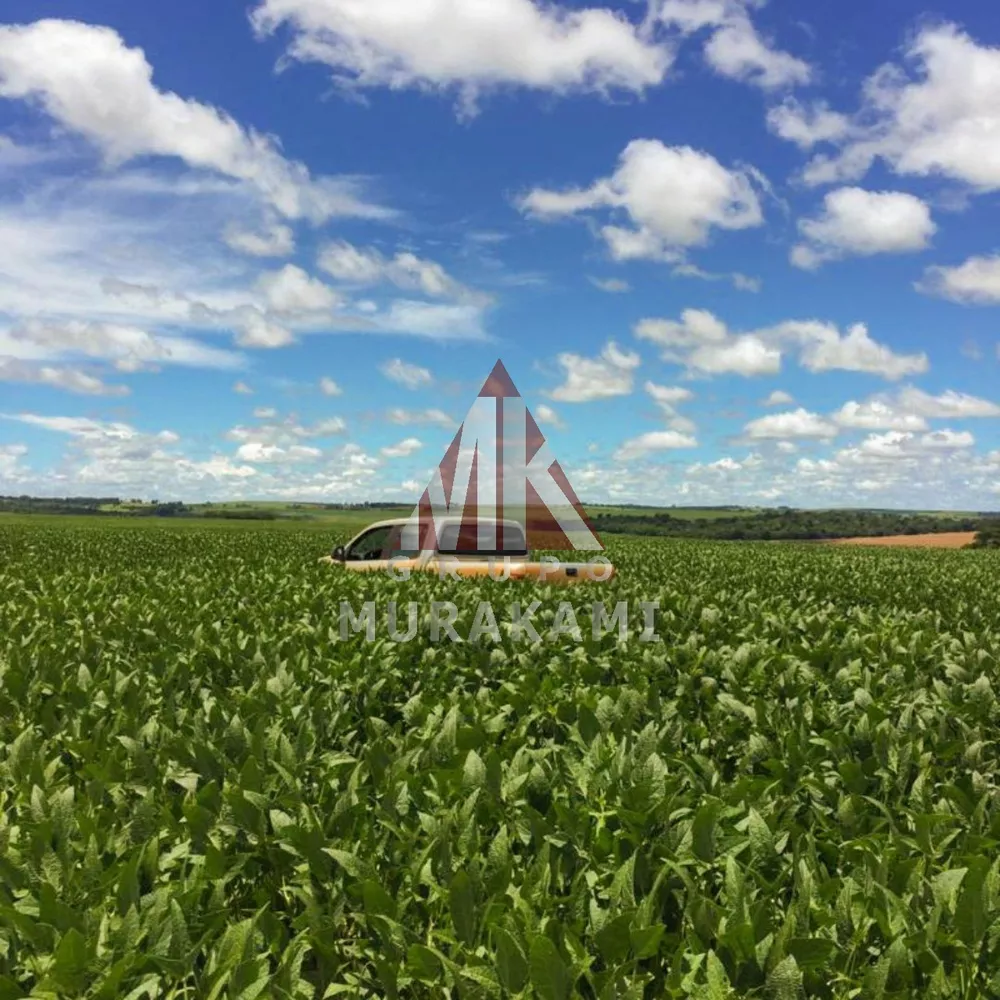 Fazenda, 424 m² - Foto 2