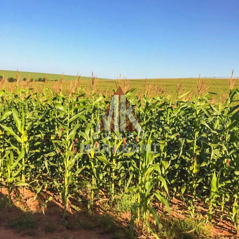 Fazenda, 424 m² - Foto 4