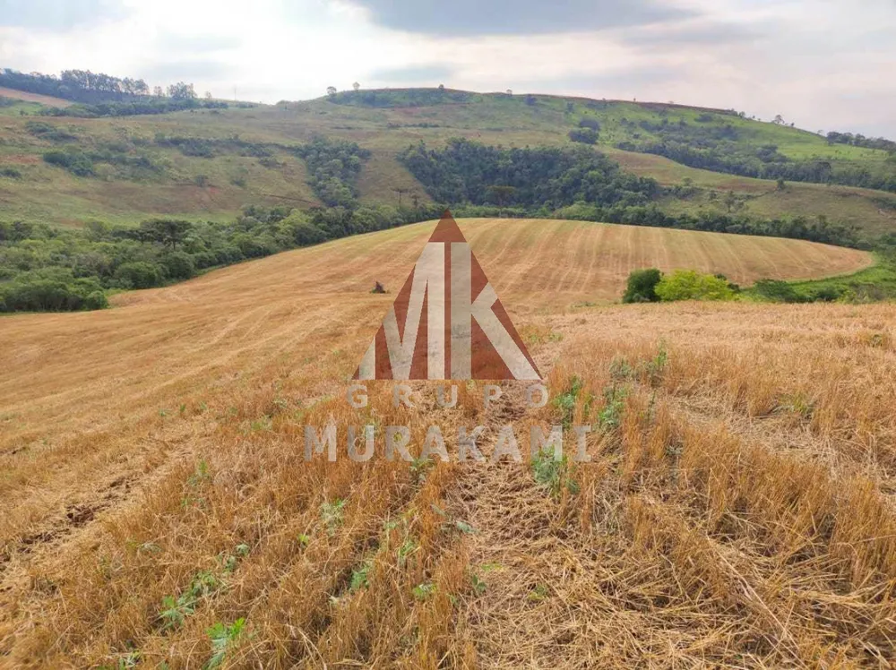 Fazenda, 106 m² - Foto 4