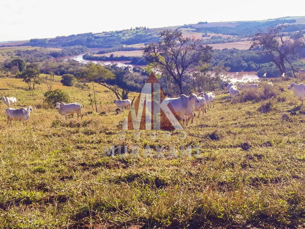 Fazenda, 55 m² - Foto 4