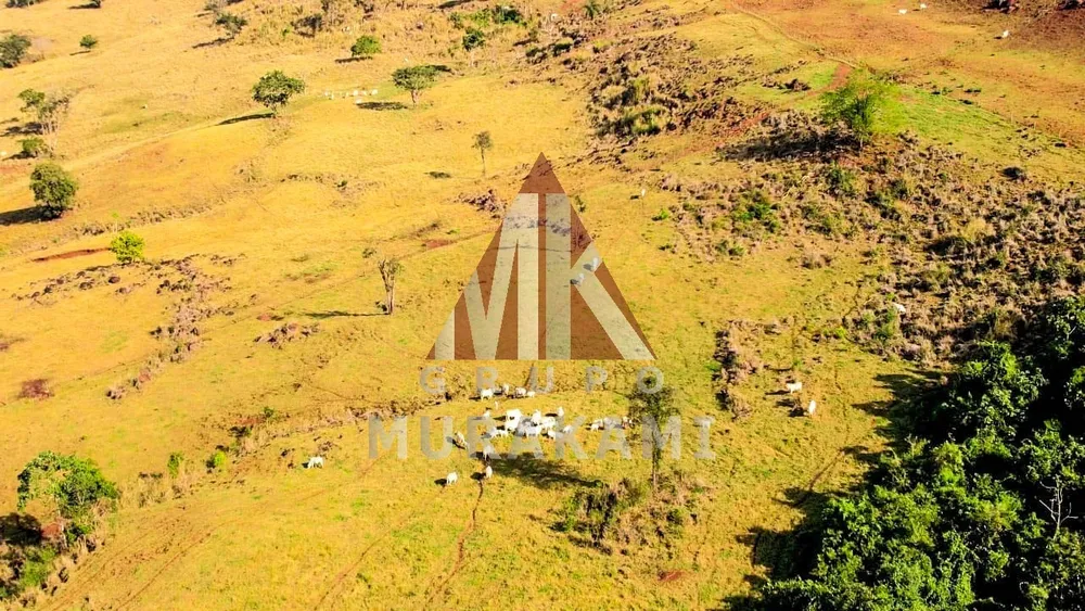 Fazenda, 55 m² - Foto 4