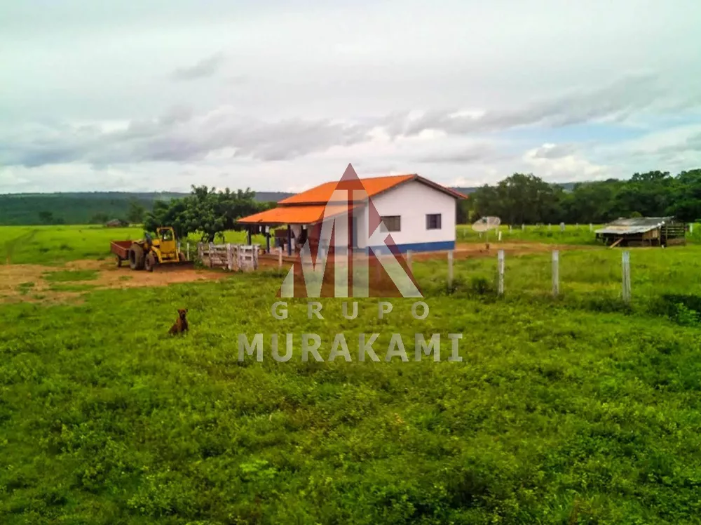 Fazenda, 10000 m² - Foto 4
