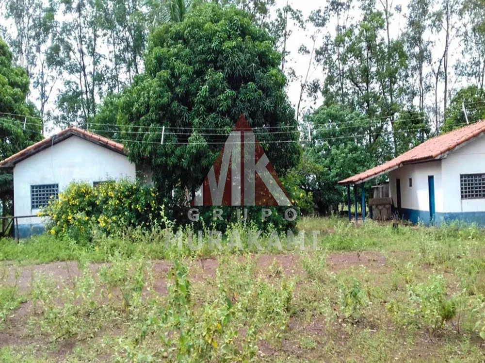 Fazenda, 10000 m² - Foto 3