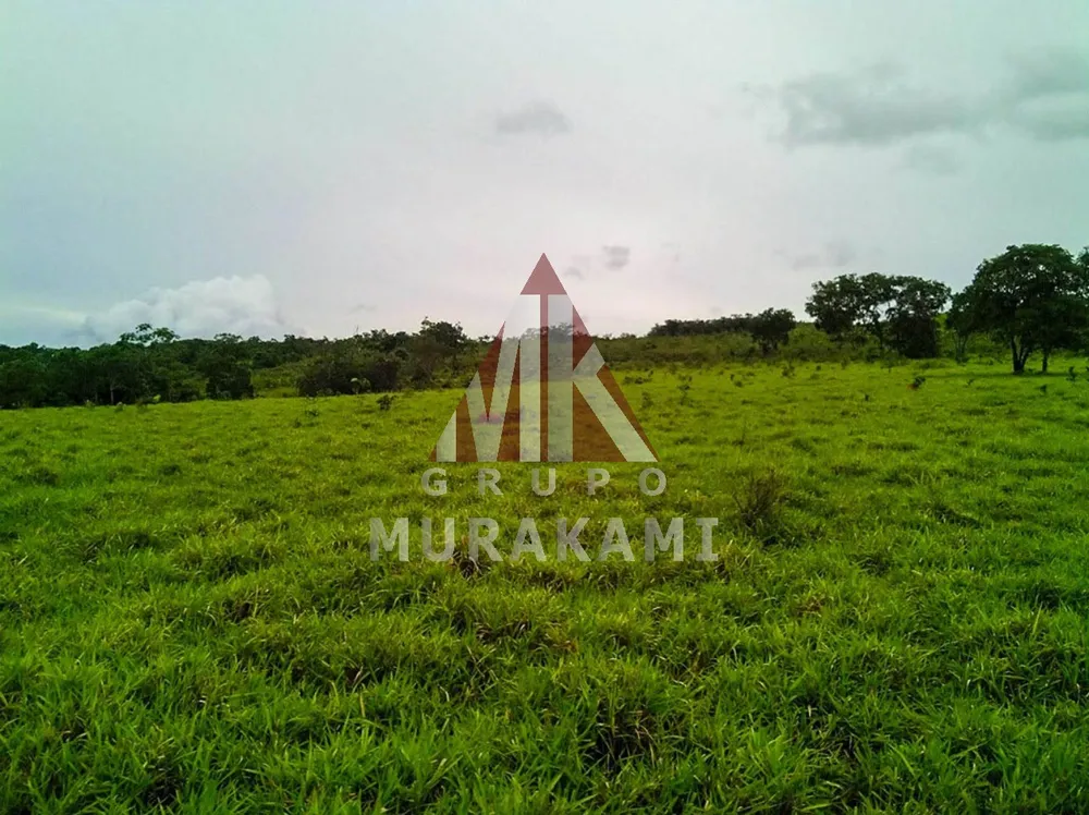 Fazenda, 10000 m² - Foto 10