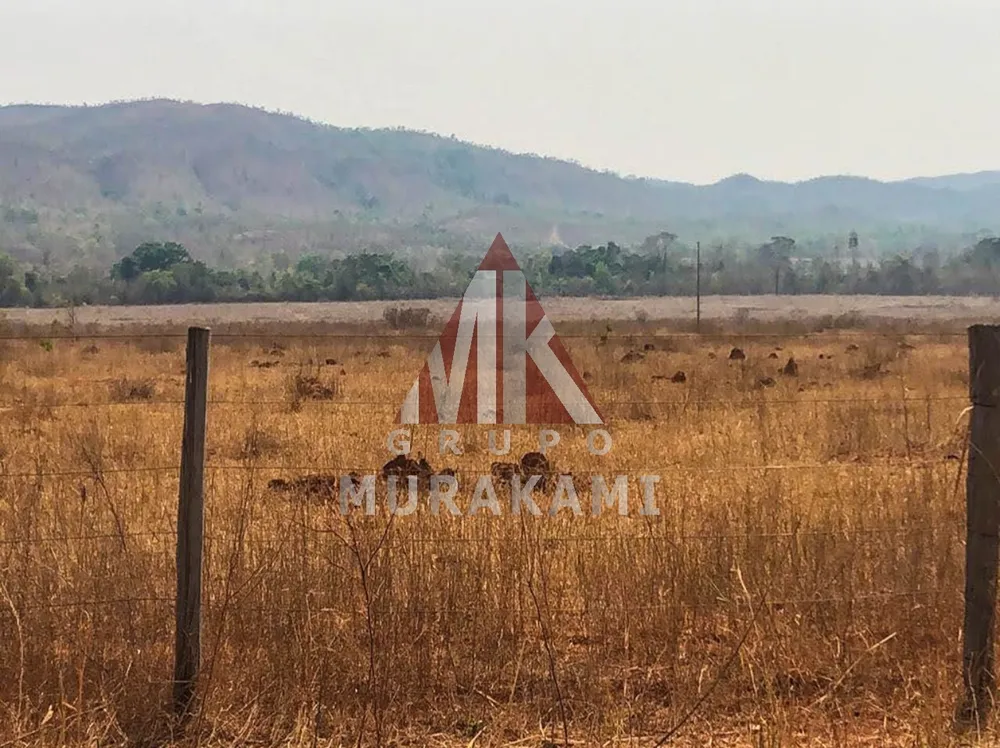 Fazenda, 10000 m² - Foto 8