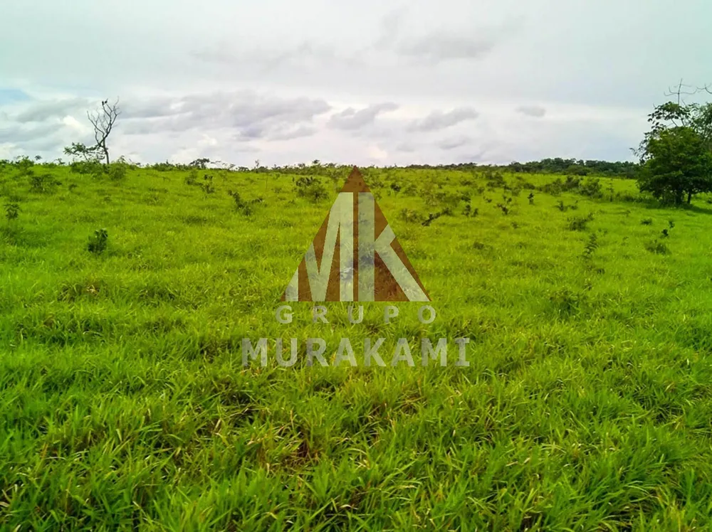 Fazenda, 10000 m² - Foto 14