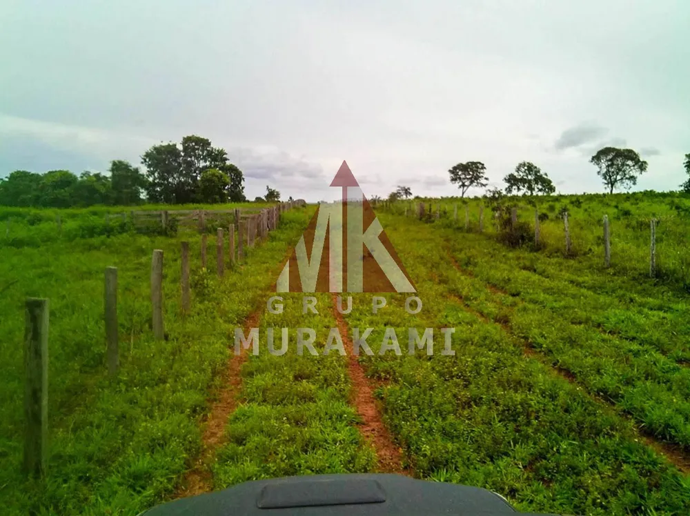 Fazenda, 10000 m² - Foto 1
