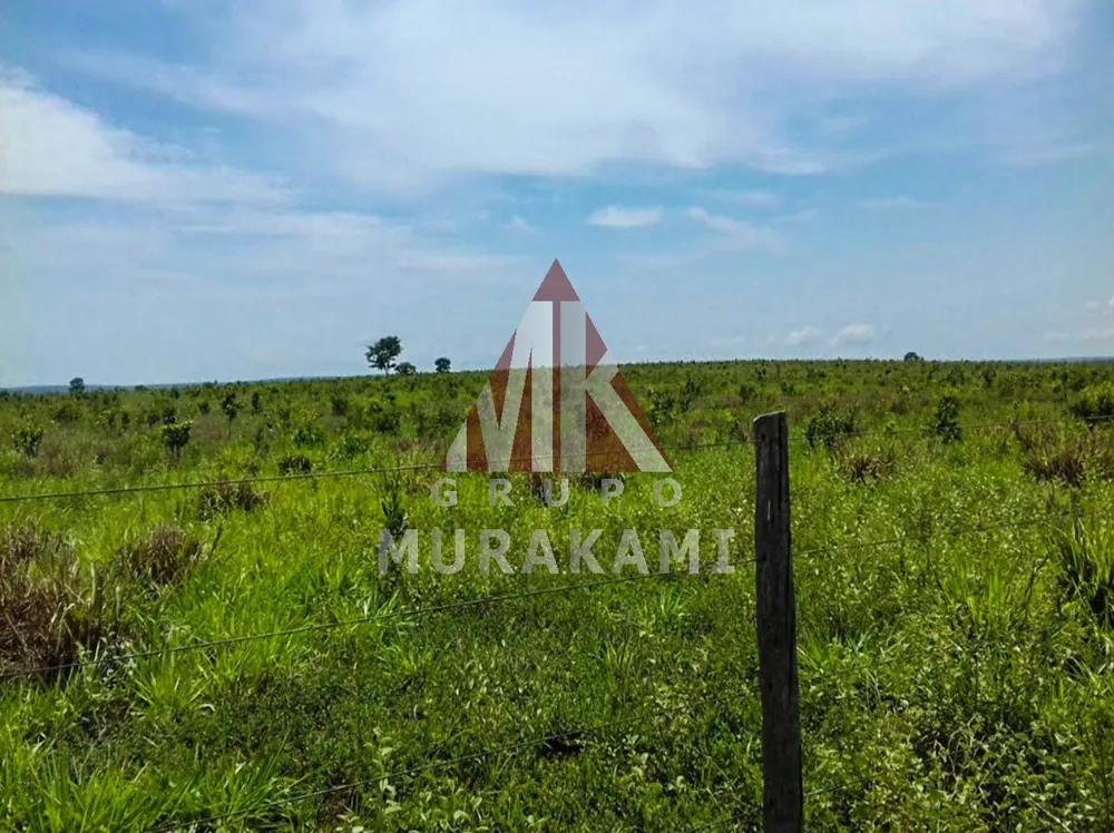 Fazenda, 10000 m² - Foto 16