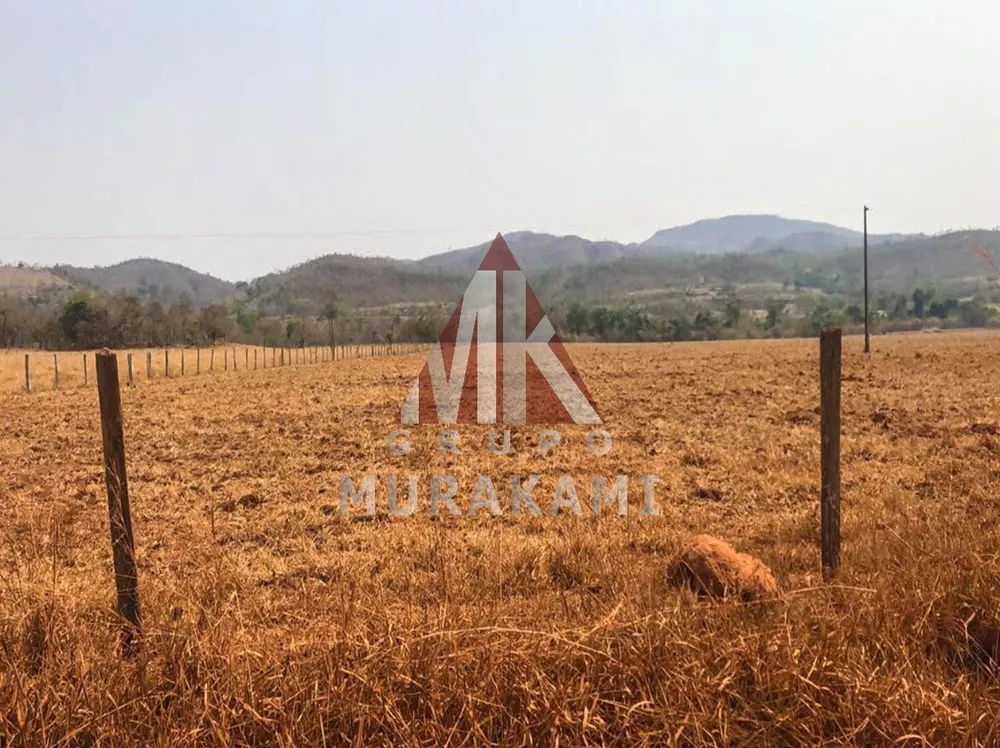 Fazenda, 10000 m² - Foto 3
