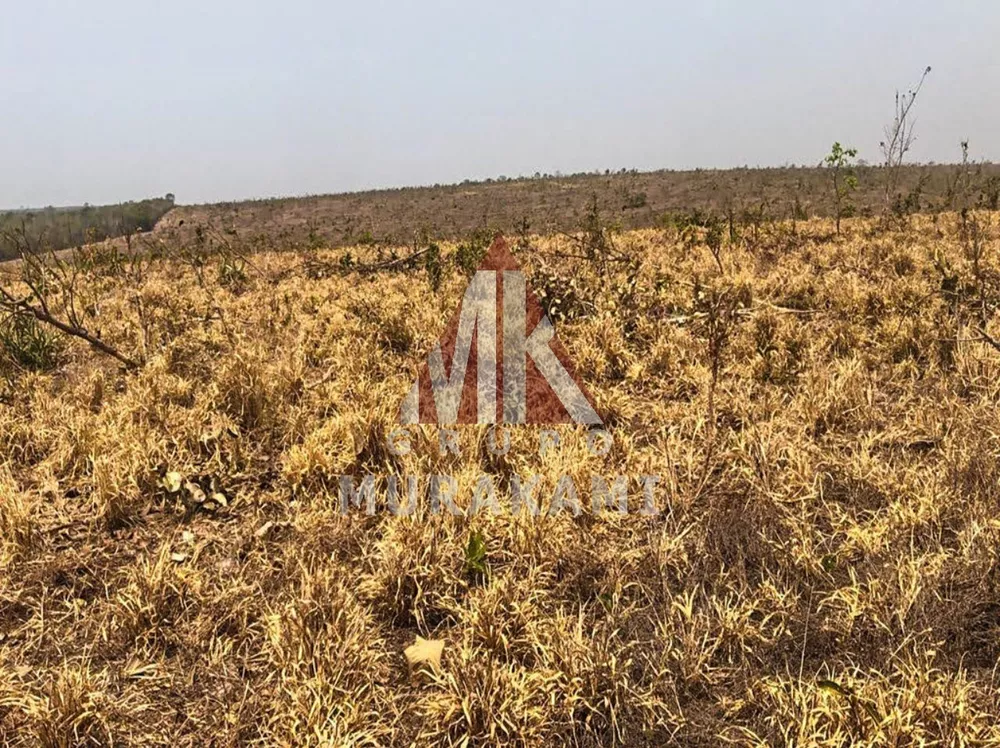 Fazenda, 10000 m² - Foto 2
