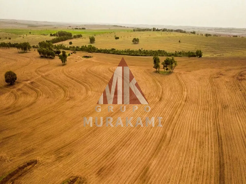 Fazenda, 971 m² - Foto 3