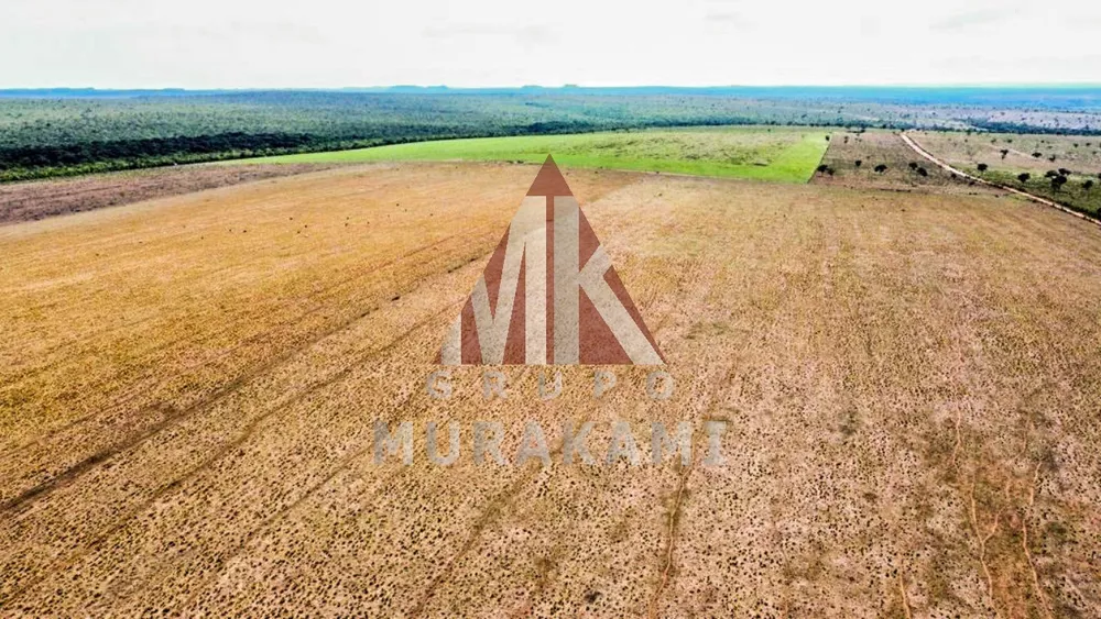 Fazenda, 8703 m² - Foto 3