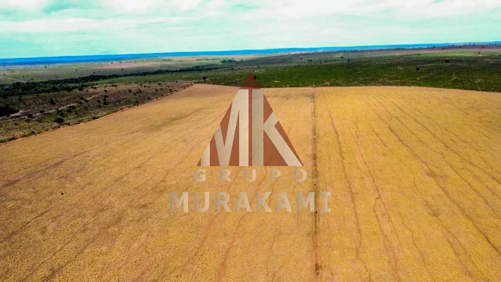 Fazenda, 8703 m² - Foto 4