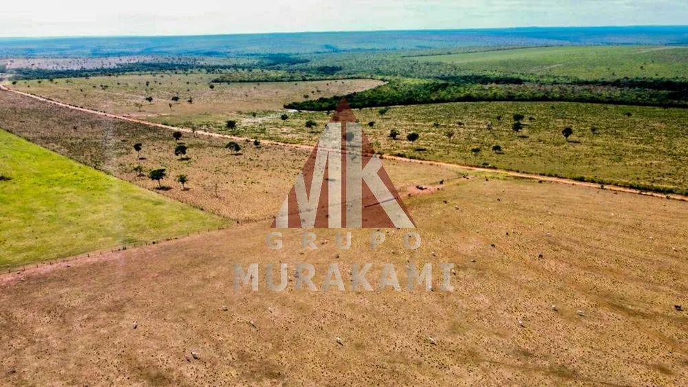 Fazenda, 8703 m² - Foto 7