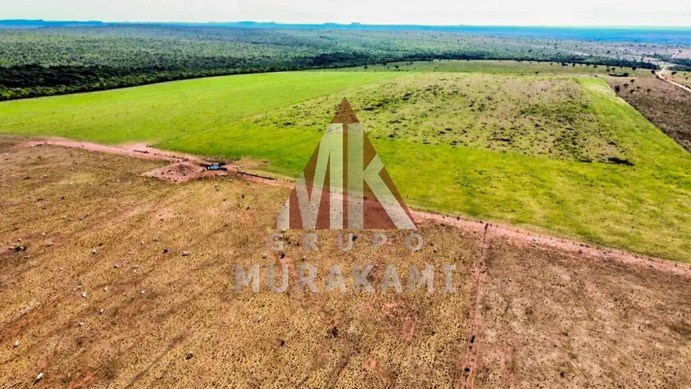 Fazenda, 8703 m² - Foto 11