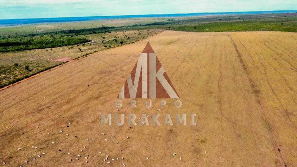Fazenda, 8703 m² - Foto 4
